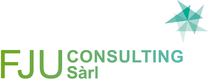 FJU Consulting
