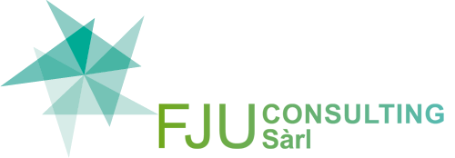 FJU Consulting